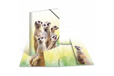 Herma 19971 Porte-documents DIN A3 Motif poupee de suricate en plastique solide avec rabats interieurs imprimes, reliure elastiq