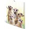 Herma 19971 Porte-documents DIN A3 Motif poupee de suricate en plastique solide avec rabats interieurs imprimes, reliure elastiq