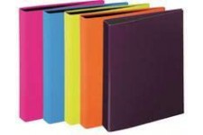 Lot de 12 : Classeur a 2 anneaux Trend Colours, format A4, coloris assortis