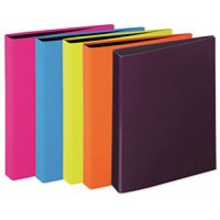 Classeur A4 Trend - Mecanisme a 2 anneaux avec support - Orange