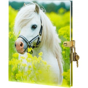 20241-15 Journal Petit Pony 128S