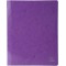 Exacompta - Ref. 380812B - 1 chemise a lamelle Iderama en carte lustree pelliculee 355 g/m² - chemise certifiee FSC