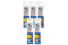 - 718163 - Set De Pinceaux Pour Debutant - 3 pinceaux a  poils fins : tailles 2, 4 et 6-2 pinceaux brosse n°613F : tailles 6 et 