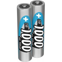 ANSMANN Micro AAA Batterie 1000mAh NiMH Camera tres capacitif numerique professionnel Batterie (2 pack)