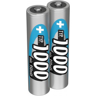 ANSMANN Micro AAA Batterie 1000mAh NiMH Camera tres capacitif numerique professionnel Batterie (2 pack)