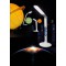 Magnetoplan 4424700 Lampe de Table LED