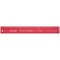 regle 30 cm (rouge)