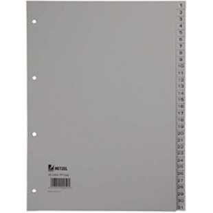 Rexel 25271481 Intercalaire Gris