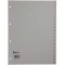 Rexel 25271481 Intercalaire Gris