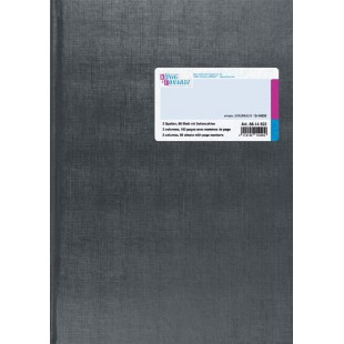 Konig & Ebhardt 8614522 livre d'affaires/colonnes, livre (A4 avec tete fixe 2 colonnes, 32 lignes, 80 g/m², 96 feuilles cousue a