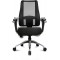 LT29BT W500 Lady Sitness Deluxe Chaise a  Pain Noir