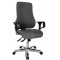 ' SD69 X T22 brodrehstuhl"Sitness 55 anthracite