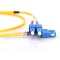 Cable patch DIGITUS LWL OS2 - 1 m cable fibre optique SC vers SC - LSZH - Duplex monomode 09/125µ - 10 GBit/s - jaune