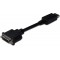 DIGITUS Cable DisplayPort (0,2 m, DP-DVI (24 + 5), male/Femelle, M/Verrouillage, DP 1.2 Compatible, UL)