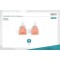 DIGITUS Cable LAN Cat 6-5 m - Cable reseau CCA avec RJ45 - U/UTP non blinde - Compatible avec Cat-6A & Cat-5e - Gris