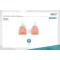 DIGITUS 30m Cat6 U/UTP cable de reseau U/UTP (UTP) Vert - Cables de reseau (30 m, Cat6, U/UTP (UTP), RJ-45, RJ-45, Vert)