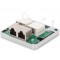 DIGITUS Cat 6 Boitier de raccordement au reseau, 2X Prise RJ45, 2X borne a  deplacement d'isolant LSA, 250 MHz, blinde, Argent