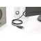 DIGITUS ASSMANN AK-340303-010-S Cable Adaptateur DisplayPort DP - HDMI Type A St/St, 1.0m, m/Verrieur. DP 1.2_HDMI 2