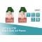DIGITUS Cat 6 S-FTP Patch Cord, CU, LSZH AWG 27/7, Length 5 m, 10 Pieces, Color Green