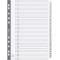 Exacompta - Ref. MWD1-31Z - Intercalaires en carte blanche 160g/m2 FSC® avec 31 onglets imprimes numeriques de 1 a  31 et plasti