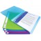 Lot de 10 : Rapesco 0916 Chemise de Presentation Flexi A4, 20 Pochettes (40 Vues), Couleurs Vives Transparentes, 