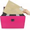Rapesco Trieur Valisette A4 avec 19 Compartiments - Rose