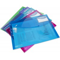 Lot de 5 : Rapesco 0700 Pochette Porte-Document ID, A4+, Couleurs Vives Transparentes, 