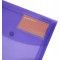 Lot de 5 : Rapesco 0700 Pochette Porte-Document ID, A4+, Couleurs Vives Transparentes, 