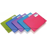 Lot de 5 : Rapesco 0804 Boite a Documents A4, Couleurs Tranlucides Assorties, 