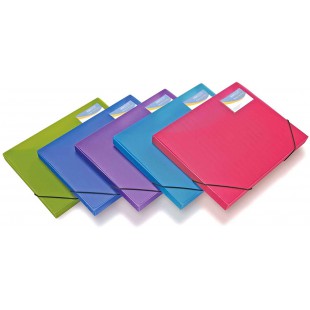 Lot de 5 : Rapesco 0804 Boite a Documents A4, Couleurs Tranlucides Assorties, 