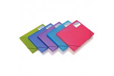 Lot de 5 : Rapesco 0804 Boite a Documents A4, Couleurs Tranlucides Assorties, 