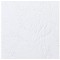 GBC 4400015 Pack de 100 Plats de Couverture A5 Blanc