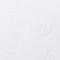 GBC 4400015 Pack de 100 Plats de Couverture A5 Blanc