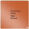 N : WB Carrelage magnetique Orange brule 360 x 360 mm