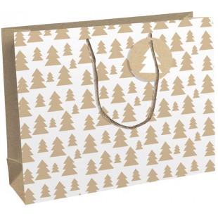 Clairefontaine X-29544-6C - Un sac cadeau shopping 37,3x11,8x27,5 cm 210g en kraft 100 % recycle, Lovely home green