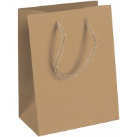 Clairefontaine 28800-3C - Un sac cadeau moyen 21,5x10,2x25,3 cm, Kraft brut