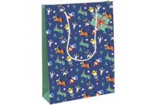 Clairefontaine 28782-2C - Un sac cadeau large 26,5x14xx33 cm 210g, Heros de mon enfance, Garcons