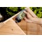 Pattex Crocodile Power colle a  bois, colle a  bois performante pour l'interieur et l'exterieur, 1x flacon de 225 g colle a  sec