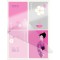 Leitz Pochette de plastification en feuille de qualite, A4, paquet de 100, transparent (mat standard)