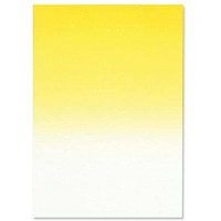 DPJ1202 Boite de 100 feuilles papier 80g A4 degrade Jaune