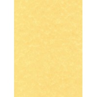 PCL1676 Boite de 50 feuilles A4 165g Parchemin or