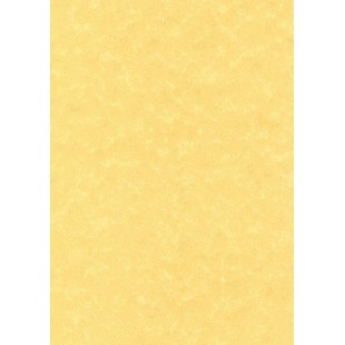 PCL1676 Boite de 50 feuilles A4 165g Parchemin or