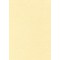PCL1677 Boite de 50 feuilles A4 165g Parchemin champagne