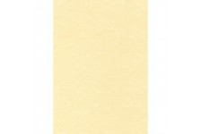 PCL1677 Boite de 50 feuilles A4 165g Parchemin champagne