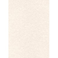 Apli PCL1678 50 Papier Parchemin, Format A4, Gris Chaud