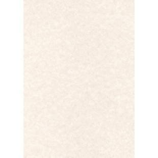 Apli PCL1678 50 Papier Parchemin, Format A4, Gris Chaud