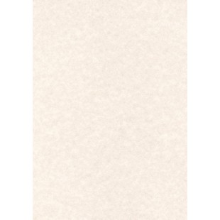 Apli PCL1678 50 Papier Parchemin, Format A4, Gris Chaud