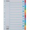 Esselte Intercalaires A4 12 Touches, Bleu/Multicolore, Carton Resistant Recycle, 12 Onglets avec Table des Matieres, 100194