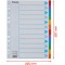 Esselte Intercalaires A4 12 Touches, Bleu/Multicolore, Carton Resistant Recycle, 12 Onglets avec Table des Matieres, 100194