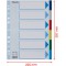 Esselte Intercalaires A4 6 Touches, Multicolore, Onglets Renforces en Plastique Resistant avec Table des Matieres, 1